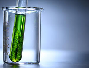 Grüne Alge im Reagenzglas 