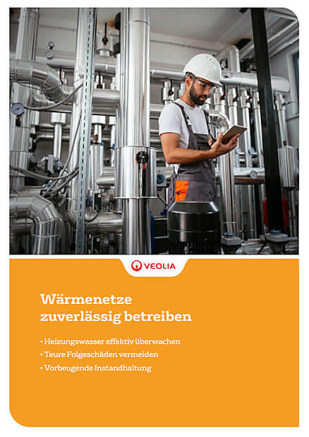 Whitepaper Wärmenetze zuverlässig betreiben