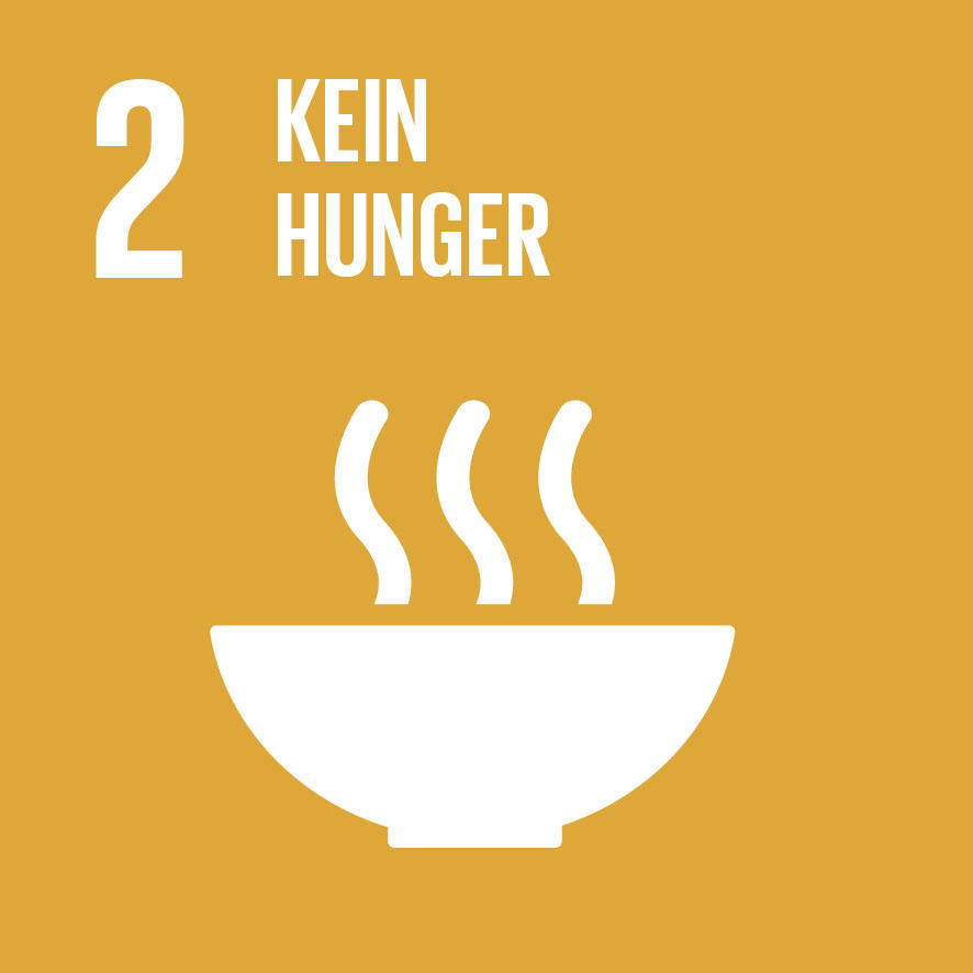 Piktogramm zu SDG - Nachhaltigkeitsziel 2: Kein Hunger