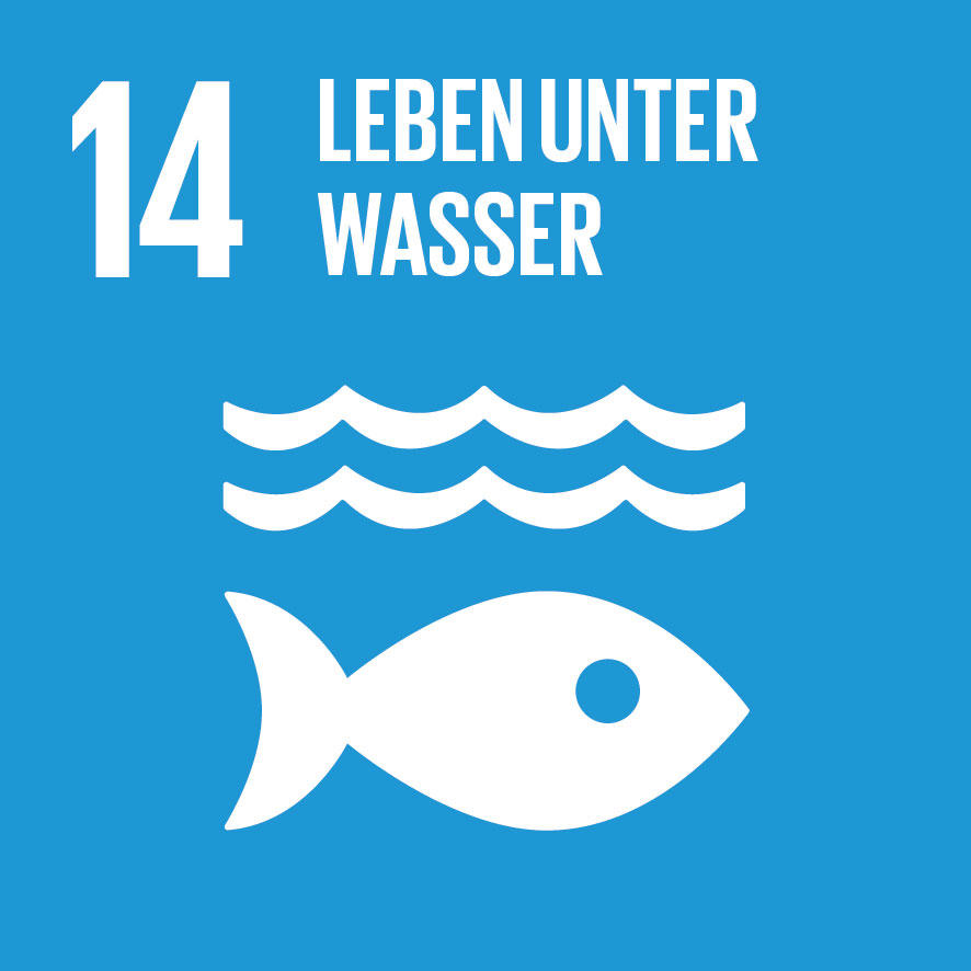 Piktogramm zu SDG - Nachhaltigkeitsziel 14: Leben unter Wasser